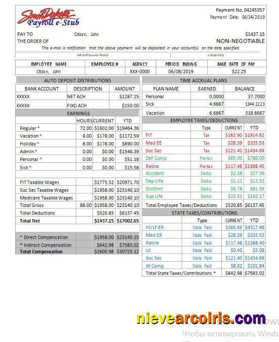 USA South Dakota payroll e-stub